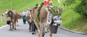 Wie hier im Kanton Obwalden werden Schweizerdeutsche Dialekte gesprochen, die selbst Deutschsprachige nicht verstehen.
