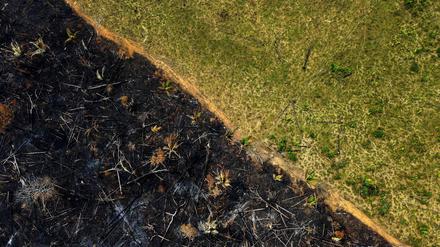 Luftbild eines brandgerodeten Gebiets in Labrea, Brasilien.
