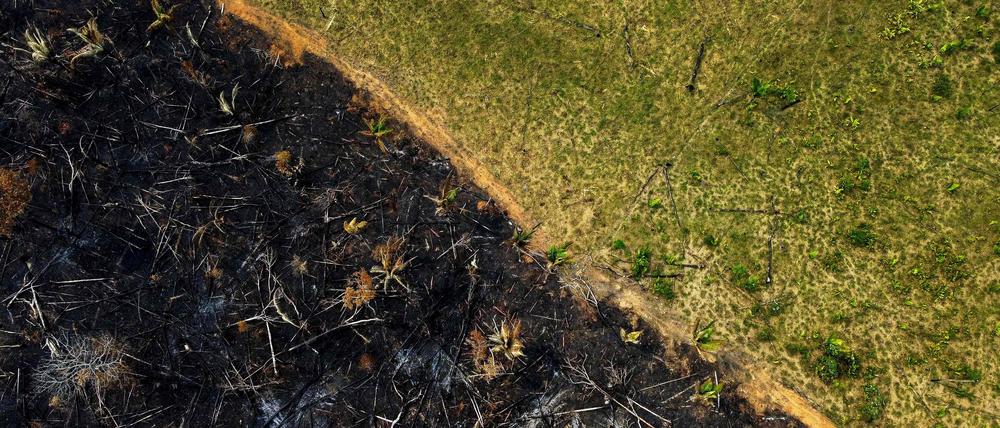 Luftbild eines brandgerodeten Gebiets in Labrea, Brasilien.
