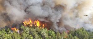 Seit Wochen brennen in Kanada die Wälder, hier ein aktuelles Bild aus Ontario.