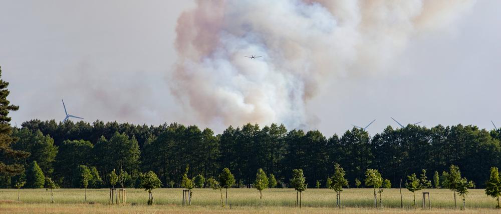 Ein Waldbrand bei Jüterbog.