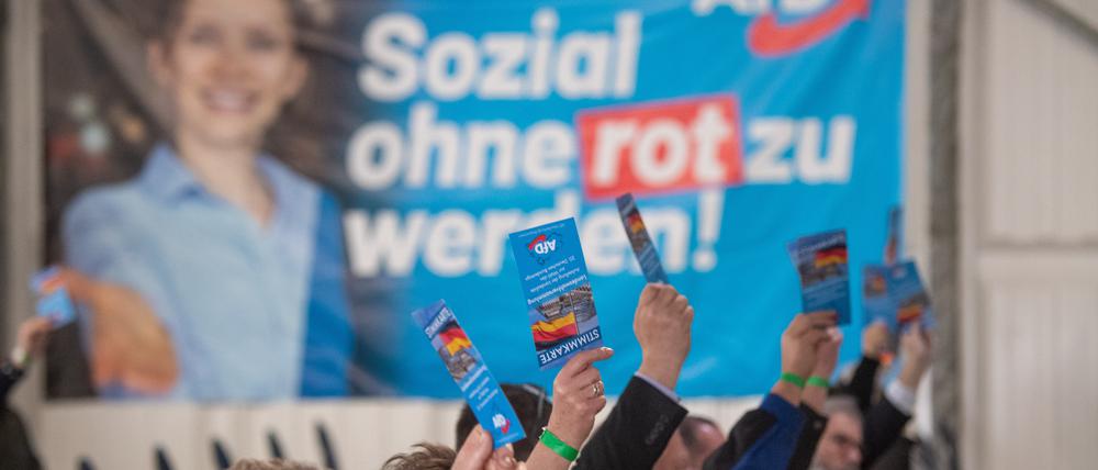 Mitglieder der AfD auf einer Landeswahlversammlung. „Sie haben ein gutes Gespür dafür, was für ein Vakuum auf dem Land entstanden ist“, sagt der Politikwissenschaftler Jörg Hebenstreit.