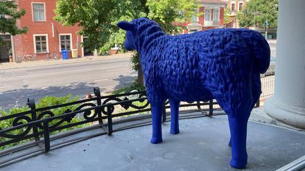 Das zurückgekehrte Schaf steht vorerst allein auf dem Balkon an der Hebbelstraße in Potsdam.