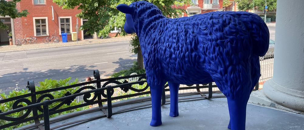 Das zurückgekehrte Schaf steht vorerst allein auf dem Balkon an der Hebbelstraße in Potsdam.