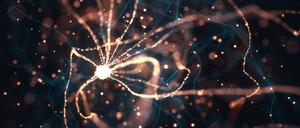 Mit elektrischen Impulsen steuern Nervenzellen Muskelzellen und damit der Mensch seinen Körper.