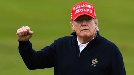 Donald Trump kann gut mit den Saudis.