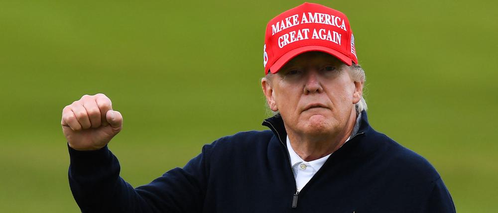 Donald Trump kann gut mit den Saudis.