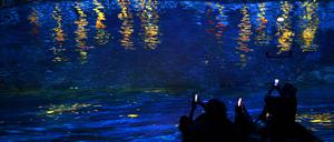 Immersive Art von van Gogh: Der renditereiche Kunstmarkt steht bislang nur hochvermögenden Investoren offen.