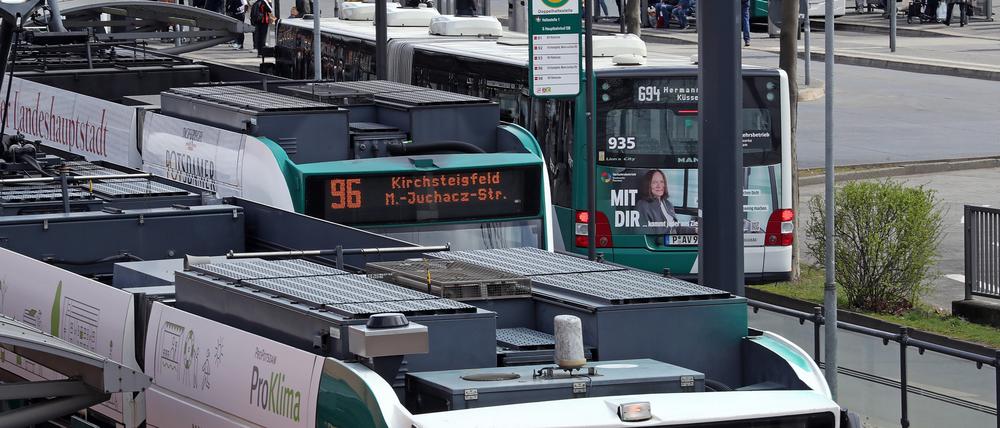 Im Potsdamer Tramverkehr kommt es zu Einschränkungen.