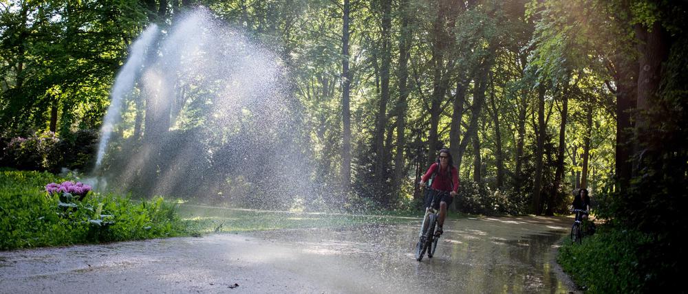 08.05.2018, Berlin: Ein Radfahrer radelt im Tiergarten an einer Berieselungsanlagen vorbei. Foto: Kay Nietfeld/dpa +++ dpa-Bildfunk +++