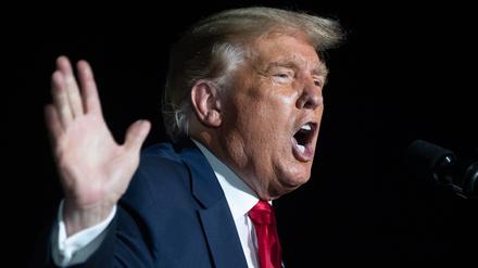 Der US-Präsident Donald Trump: Mit einfacher Rhetorik und falschen Nachrichten erfolgreich.