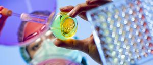 Forschende wollen auch gegen den BMBF-Entwurf zum Wissenschaftszeitvertragsgesetz protestieren.