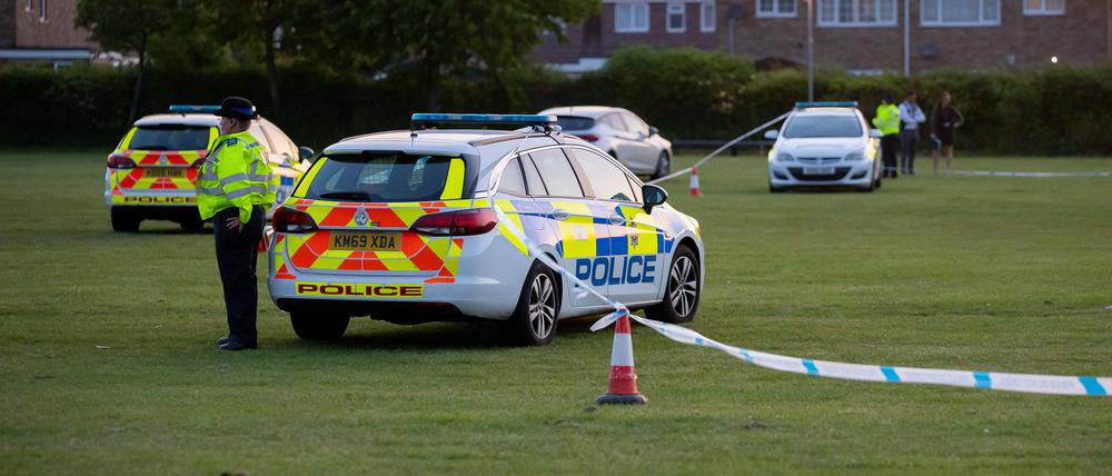 Polizisten warten neben ihren Autos (Symbolbild).