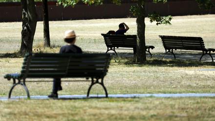 Während ein Besucher bei Temperaturen um 31 Grad den Platz in der prallen Sonne bevorzugt, sitzt ein anderer Besucher lieber im Schatten auf einer Bank im Tiergarten. 