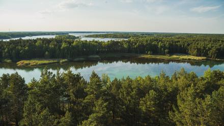 Der Senftenberger See entstand ab 1967 auf dem Gebiet des Tagebaus Niemtsch.