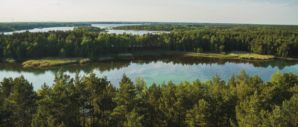 Der Senftenberger See entstand ab 1967 auf dem Gebiet des Tagebaus Niemtsch.