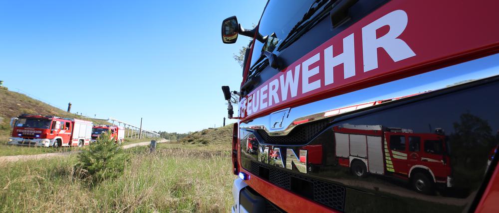 In Brandenburg ist die Waldbrandgefahr derzeit groß.