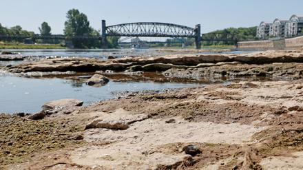Noch fahren, trotz Niedrigwasser, einige Schiffe auf der Elbe bei Magdeburg. Bei dem aktuell niedrigen Pegelstand wird es aber schwerer für die Schifffahrt. 