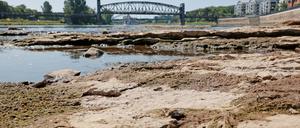 Noch fahren, trotz Niedrigwasser, einige Schiffe auf der Elbe bei Magdeburg. Bei dem aktuell niedrigen Pegelstand wird es aber schwerer für die Schifffahrt. 