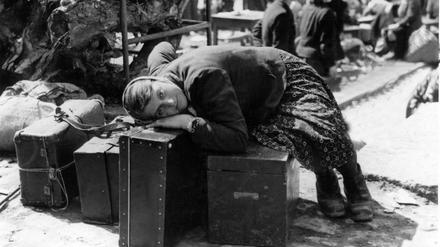 Vor allem Osteuropäer:innen wurden als Arbeitssklaven eingesetzt.