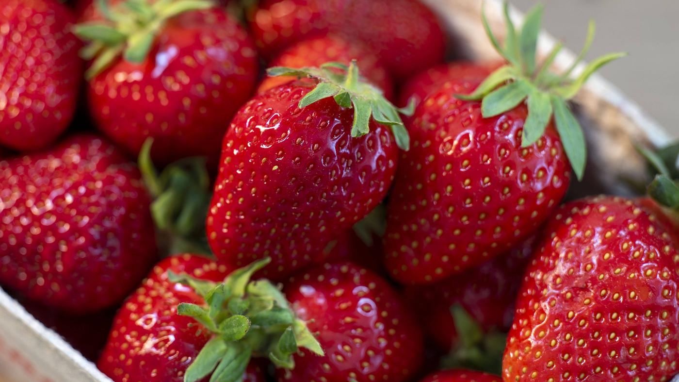 An die Körbchen, fertig, los!: Hier können Sie in Brandenburg Erdbeeren ...
