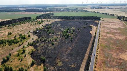 13.06.2023, Brandenburg, Luckau: Ein verbranntes Feld. In der Nähe des Luckauer Ortsteils Duben (Landkreis Dahme-Spreewald) ist am Dienstag ein Getreidefeld in Brand geraten. Foto: ---/Blaulichtreporter Cottbus/dpa +++ dpa-Bildfunk +++