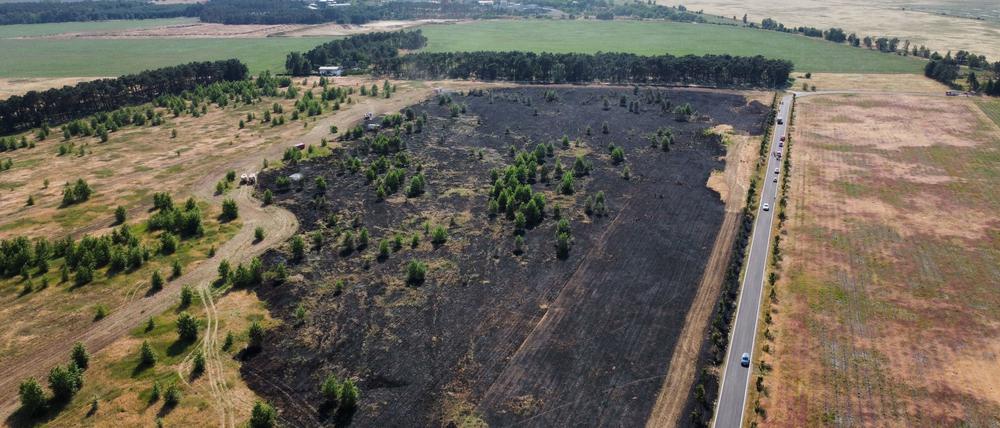 13.06.2023, Brandenburg, Luckau: Ein verbranntes Feld. In der Nähe des Luckauer Ortsteils Duben (Landkreis Dahme-Spreewald) ist am Dienstag ein Getreidefeld in Brand geraten. Foto: ---/Blaulichtreporter Cottbus/dpa +++ dpa-Bildfunk +++