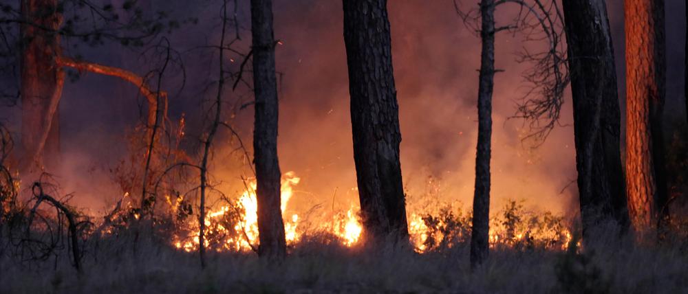 Ein Waldbrand in Mecklenburg-Vorpommern. 