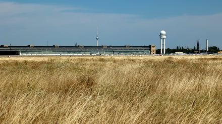 Hitze und fehlender Regen lassen das Grün auf dem Tempelhofer Feld vertrocknen. 