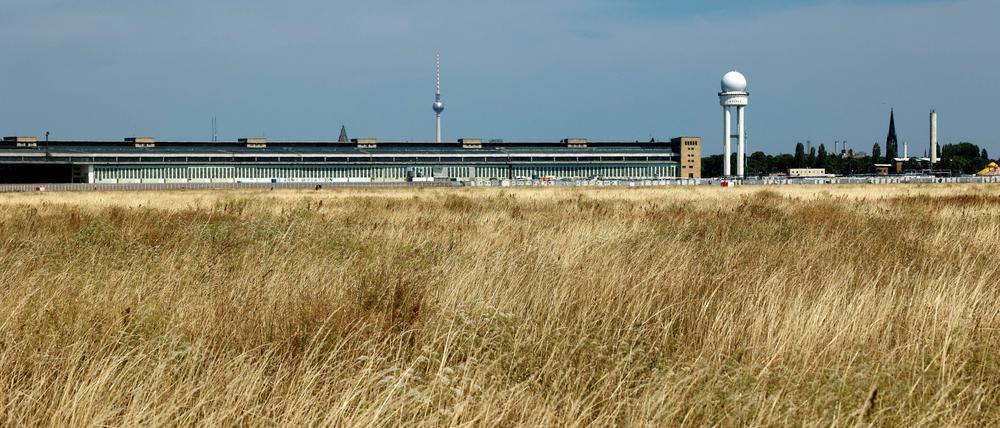 Hitze und fehlender Regen lassen das Grün auf dem Tempelhofer Feld vertrocknen.