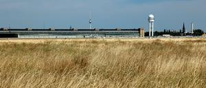 Hitze und fehlender Regen lassen das Grün auf dem Tempelhofer Feld vertrocknen. 