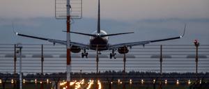 Ein Flugzeug landet am BER.