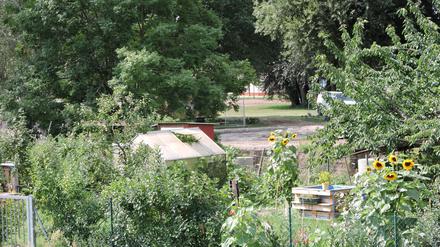 Beelitz Laga Gartenschau Park und Kleingärten an Nieplitz