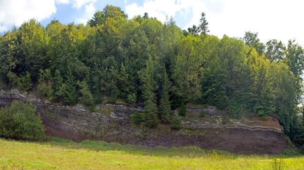 Im Naturpark Vulkaneifel wurde die Leiche eines lange vermissten Arztes aus Gerolstein gefunden. 