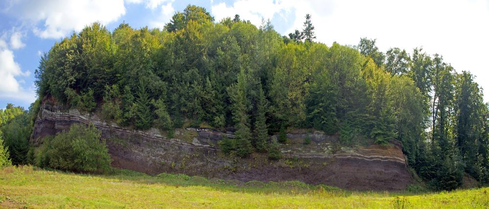 Im Naturpark Vulkaneifel wurde die Leiche eines lange vermissten Arztes aus Gerolstein gefunden. 