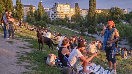 Party mit Hund im Mauerpark - direkt nebenan befindet sich das Hundeauslaufgebiet.