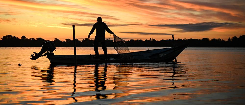 Wer die Havel so sehen will, sollte sich aufmachen zur Insel Werder, westlich von Potsdam.