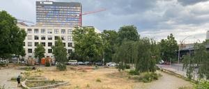 Die CDU-Fraktion will einen Platz in Kreuzberg nach der ukrainischen Hauptstadt Kyiv benennen. Vorgeschlagen wird ein Teil des Elise-Tilse-Parks auf dem Gelände des ehemaligen Anhalter Bahnhofs. 