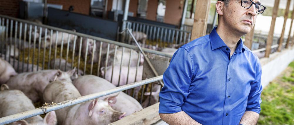 Wie geht es weiter? Die Kennzeichnung von Schweinefleisch ist erst der Anfang. Nach der Sommerpause wird an den nächsten Schritten gearbeitet. .