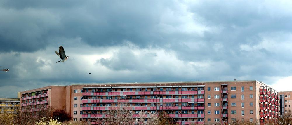 Düstere Zeiten für Mieter:innen, Wohnraum ist knapp und teuer. 