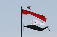 Ein Friedenszeichen? Ein Vogel fliegt in der Nähe der Stadt Qamishli über eine zerrissene syrische Flagge.
