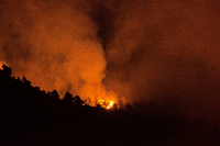 Waldbrand auf La Palma. Ein deutscher Aussteiger, der in einer Höhle lebt, hat ihn mit brennendem Toilettenpapier entfacht.