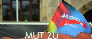Eine Fahne mit dem Parteilogo der AfD weht während einer Kundgebung der AfD Sachsen-Anhalt auf dem Marktplatz.