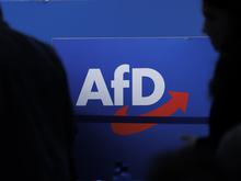 AfD in Brandenburg: Weitere Abgeordnete als rechtsextrem eingestuft – Fraktion prüft Klage