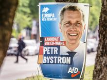 E-Mail von AfD-Vorsitzenden: Bystron soll auf weitere Wahlkampfauftritte verzichten