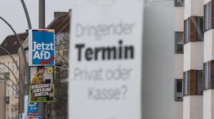 Wahlplakate der Parteien AfD, Bündnis 90/Die Grünen und Die Linke zur Teil-Wiederholung der Bundestagswahl hängen im Stadtteil Pankow an Laternenmasten.