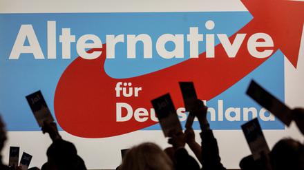 Delegierte halten beim Landesparteitag AfD Hessen ihren Stimmzettel. (zu dpa «AfD-Bundesparteitag in Magdeburg - Viele drängt es nach Brüssel») +++ dpa-Bildfunk +++