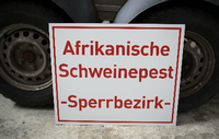 Ein Schild mit der Aufschrift «Afrikanische Schweinepest - Sperrbezirk-»