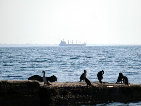 Letztes Schiff im Getreideabkommen: Der türkische Massengutfrachter „Tq Samsun“ verlässt den Hafen von Odessa in der Südukraine.