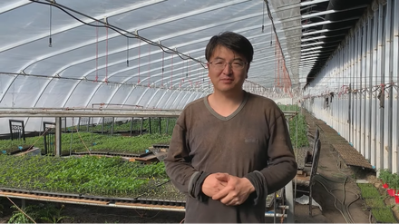 Agrarwissenschaftler Dong Jianyi betreibt in Alberta das Unternehmen Fresh Pal Farms und baut sein Gemüse in passivsolaren Gewächshäusern.